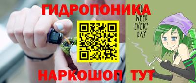 амф Кандалакша