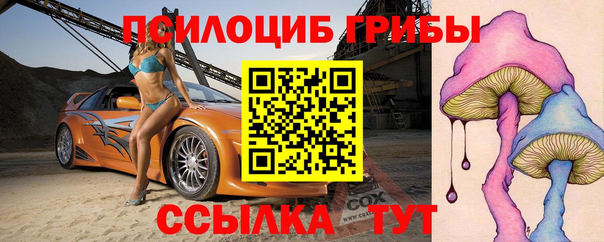 Псилоцибиновые грибы MAGIC MUSHROOMS  Псилоцибиновые грибы Psilocybe  Кстово  Вход с VPN 