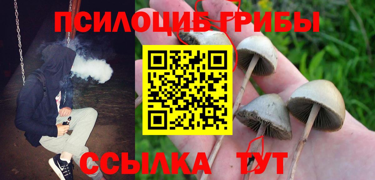 Галлюциногенные грибы Psilocybine cubensis Кстово